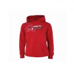 Φούτερ Εφηβικό Puma Echo Wording Hooded 80104 Κόκκινο