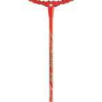 Ρακέτα Badminton Wish 308 WISH 42082