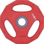 Δίσκος με επένδυση λάστιχου, 1,25 kg AMILA 84515