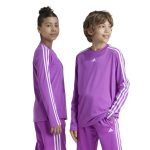 Adidas Train Essentials Logo Regular Fit Longs Sleeve Tee Kids IW0847 Μωβ