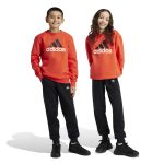 Adidas Essentials Big Logo Fleece Jogger Set Kids IX9517 Κόκκινο