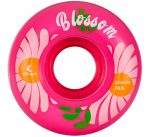 Chaya 62χιλ./78Α Outdoor Ροδάκια Blossom - Φούξια 19.810707