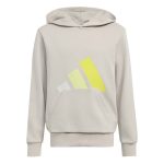 Adidas Essentials Hoodie Kids KY8024 Μπεζ