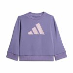 Adidas Joggers Essentials KT0877 Μωβ - Image 7