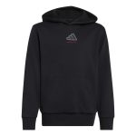 Adidas Slogan Fleece Hoodie KX2475 Μαύρο